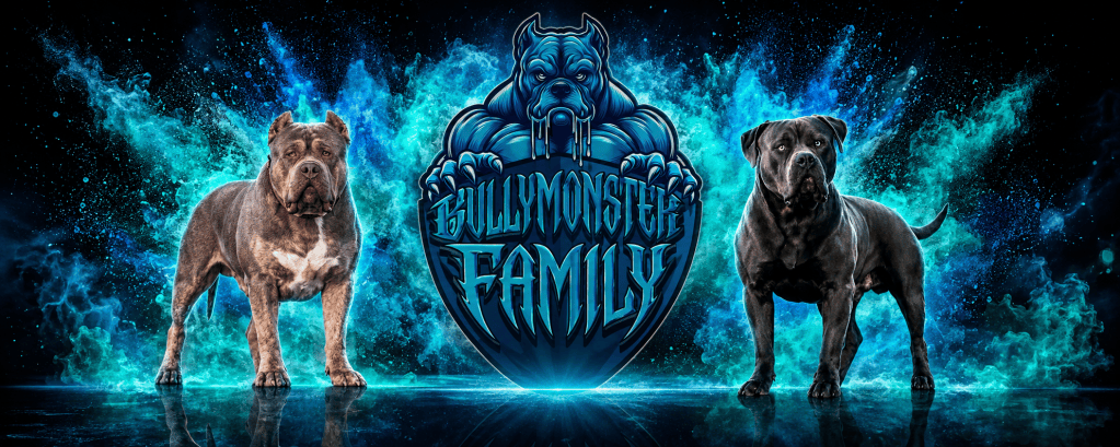 Bannière Bully Monster Family : deux American Bully entourant le blason de l'élevage